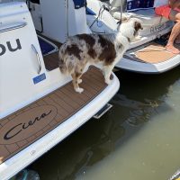 IMG_5828