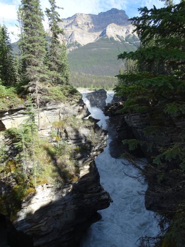 Athabasca Falls