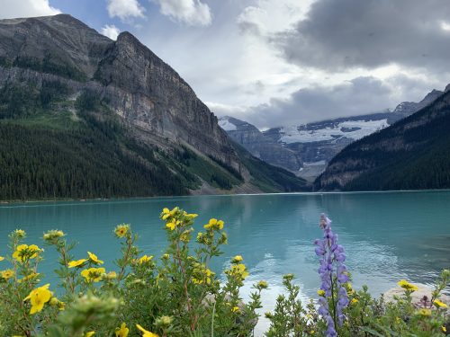 Lake Louise flowers