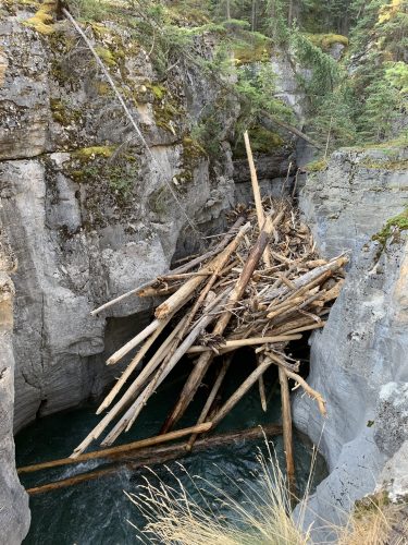 Maligne Canyon