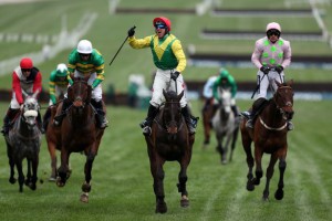 Cheltenham gold cup