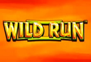 Wild Run