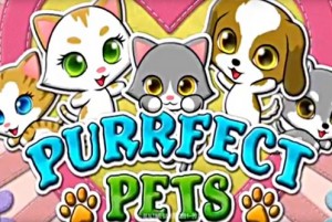 Purrfect Pets