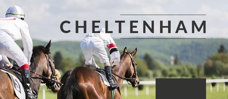 Cheltenham Festival Betting