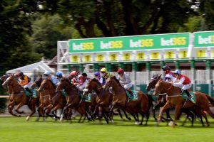 Horse Racing Tips