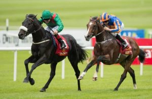 Irish Horse Racing