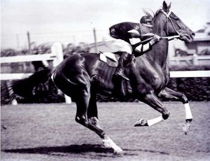 Legends Of Australian Racing