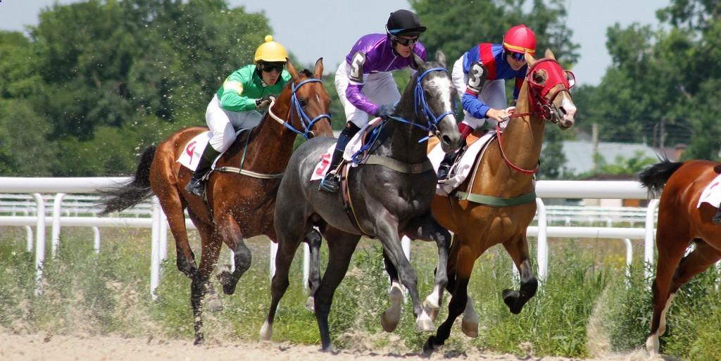 Professional Horse Racing Tips Jackpot Bet Online
