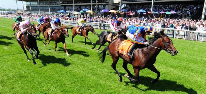Bookmaker William hill chooses train firm to ferry horse-racing VIPs