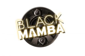 Black Mamba Slot Review