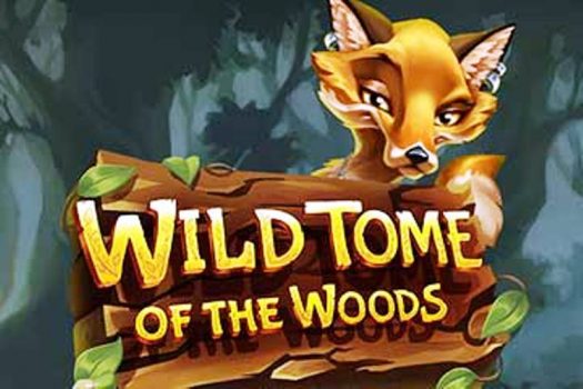 Wild Tome of the Woods Slot Game Review