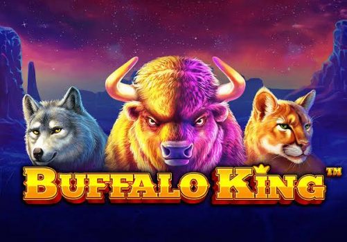 Buffalo King Casino Slot Game Review