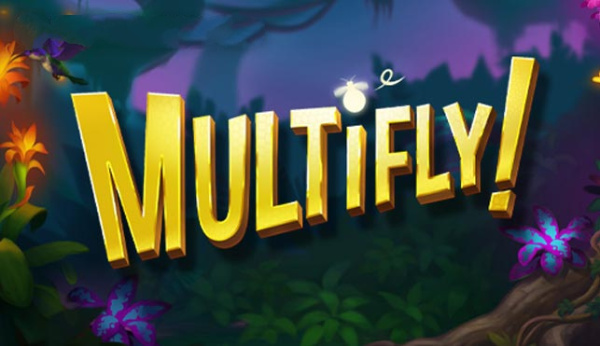 Multifly Casino Game Review
