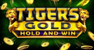 Tiger Gold Hold and Win Casino Game Review
