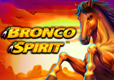 Bronco Spirit Casino Game Review