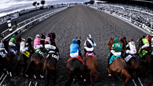 Understanding What Horse Betting Is All About