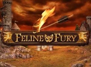 Feline Fury slot review