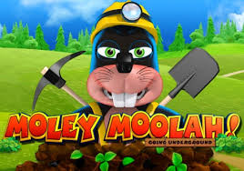 Moley Moolah Slot Review