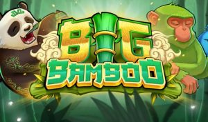 Big Bamboo Slot Review