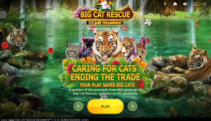 Big Cat Rescue Megaways Slot Review