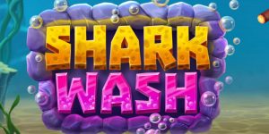 Shark Wash Slot Review