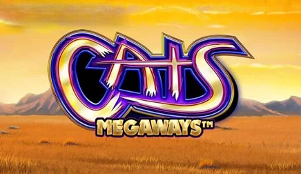 Cats Megaways Slot Review
