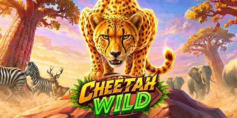 Cheetah Wild Slot Review