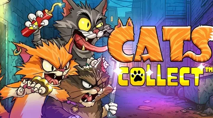 Cats Collect Slot Review