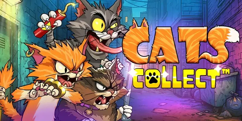 Cats Collect Slot Review