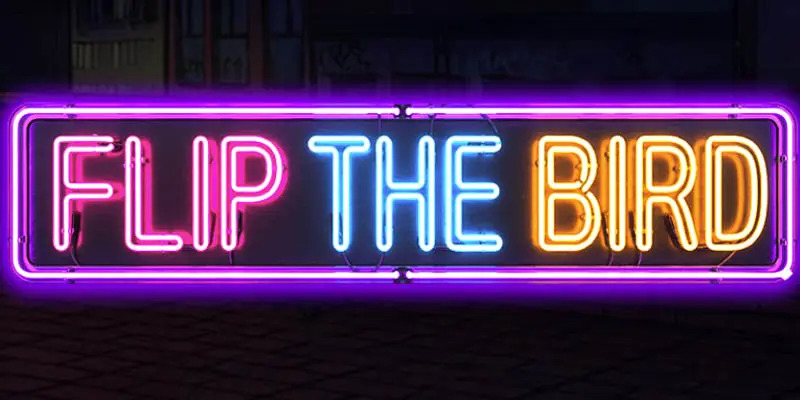 Flip the Bird: Max Chaos Slot Review