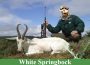 Springbock Grand Slam in Südafrika – je 1 x Common, 1 x Black, 1 x White & 1 x Copper Springbock