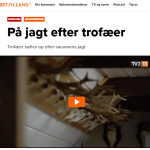 Indslag tv2østjylland på jagt efter trofæer