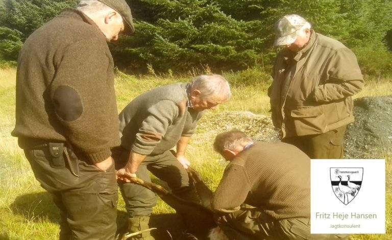 Vi yder assistance og vejledning ved forhandling og udarbejdelse af Konsortieaftaler samt eventuelle uoverensstemmelser