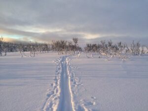 Jakobselvkaia Vinter