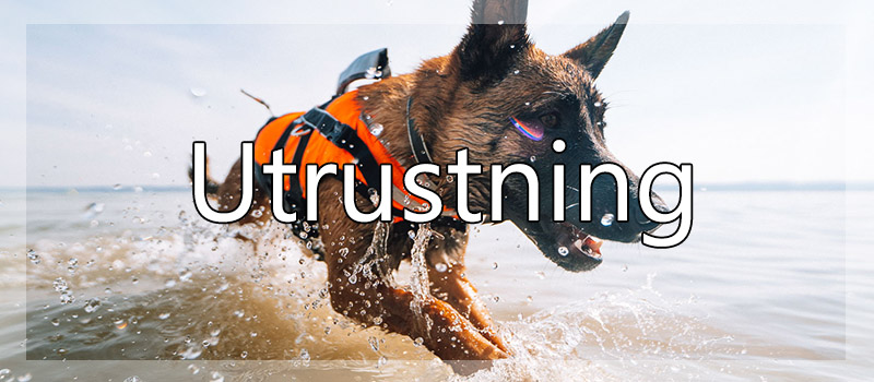 hund utrustning