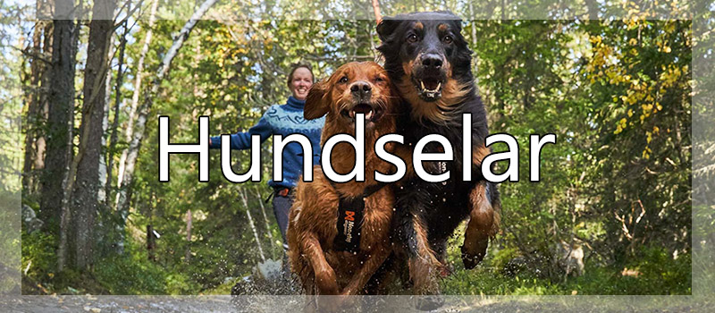 hundselar
