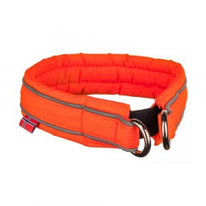 SAFE COLLAR