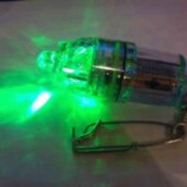 Fiskelys (LED)10 stk Grønt lys