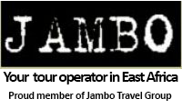 jambo travel house