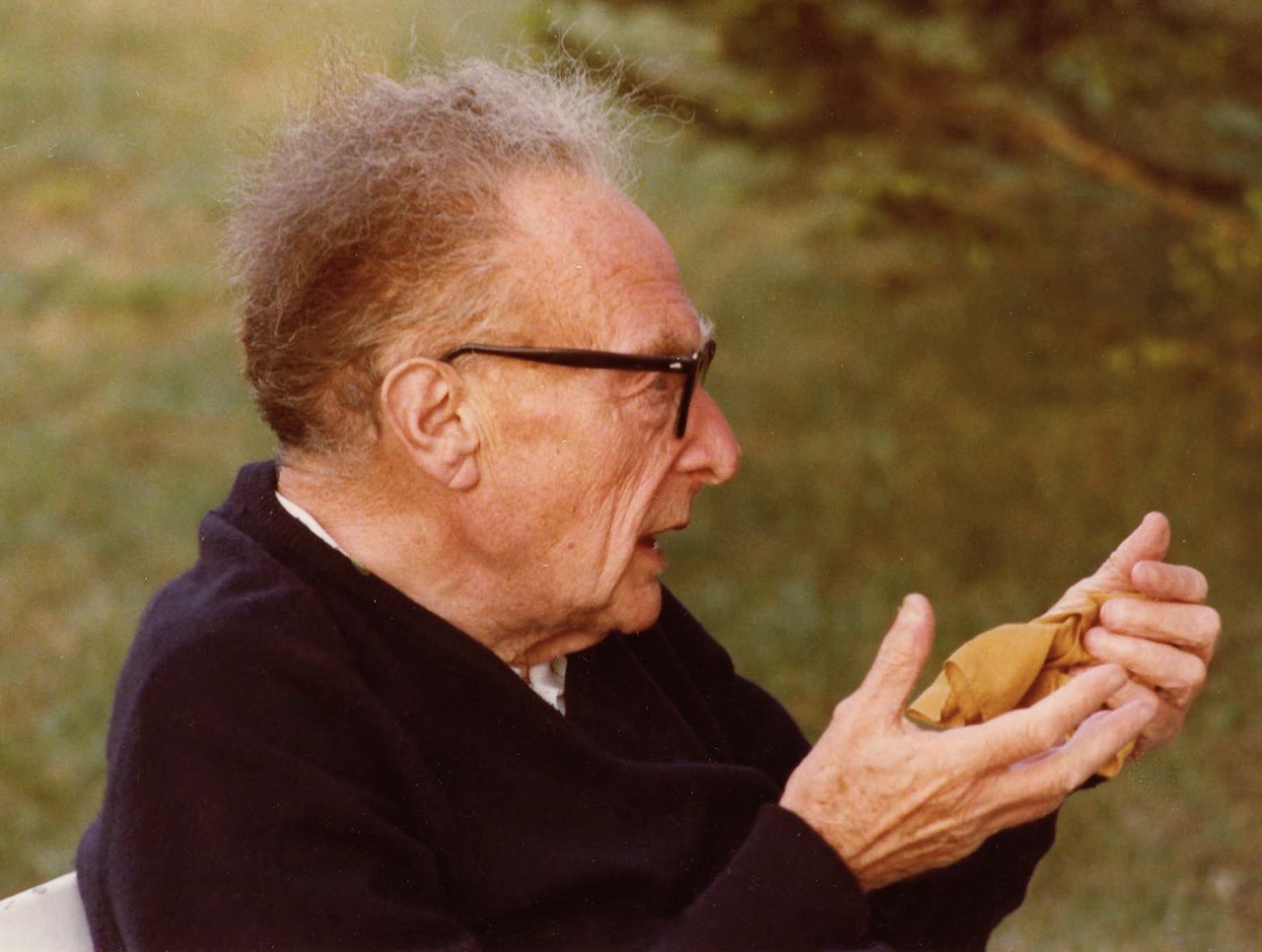 Roman Jakobson på Gotland 1977. © Bengt Jangfeldt