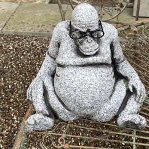 Brilleabe, sjov figur til haven