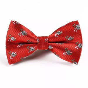 Rød butterfly med julestokke