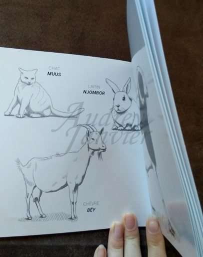 Mon premier imagier bilingue français-wolof livre pour enfant d'Audrey Janvier, de la collection Jàngal