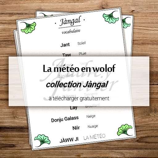 Vocabulaire de la météo en wolof - collection Jangal (Soleil, pluie, vent, orage, nuage, neige) Carte de nomeclature et imagier