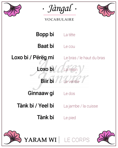 Vocabulaire du corps humain en wolof - collection Jàngal (ventre, jambe, bras)