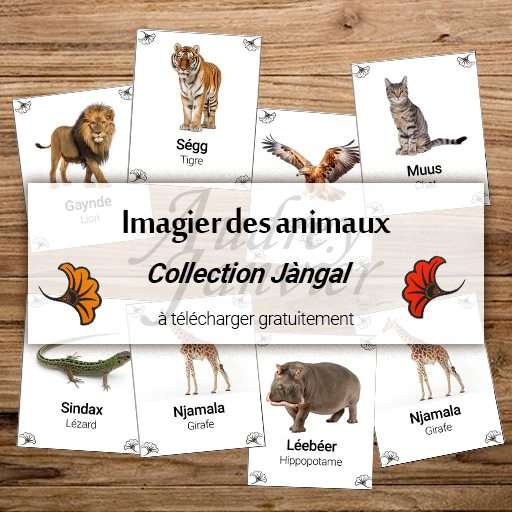 Imagier des animaux préférés en wolof - collection Jàngal (Lion, tigre, aigle, chat, lézard, escargot, hippopotame, girafe) Carte de nomeclature et imagier