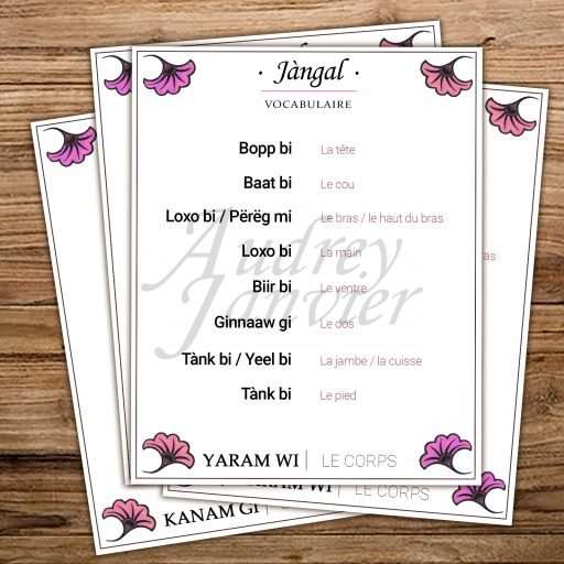 Vocabulaire du corps humain en wolof - collection Jàngal (ventre, jambe, bras)