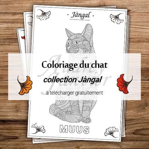 coloriage du chat, muus en wolof - collection Jàngal d'activités manuelles et de loisirs créatifs