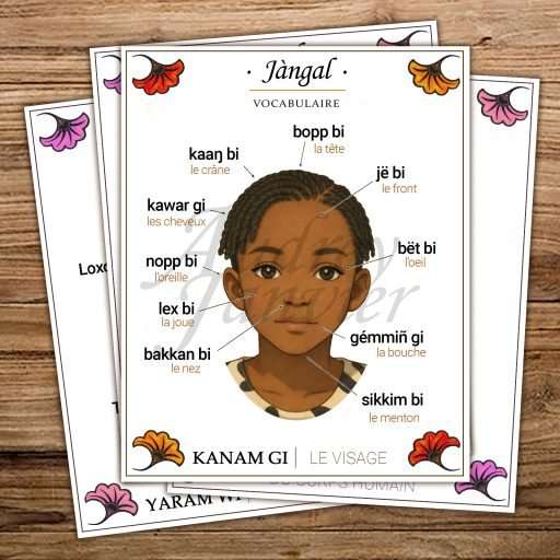 Imagier du visage en wolof - apprendre le vocabulaire et les mots collection Jàngal (bouche, oeil, oreille, front)
