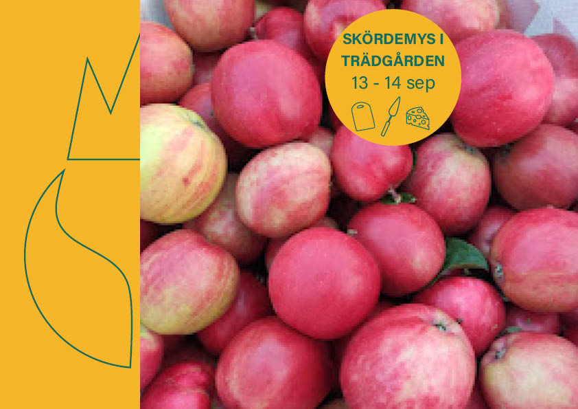 🌾 Skördemys 13 – 14 sep 🌾